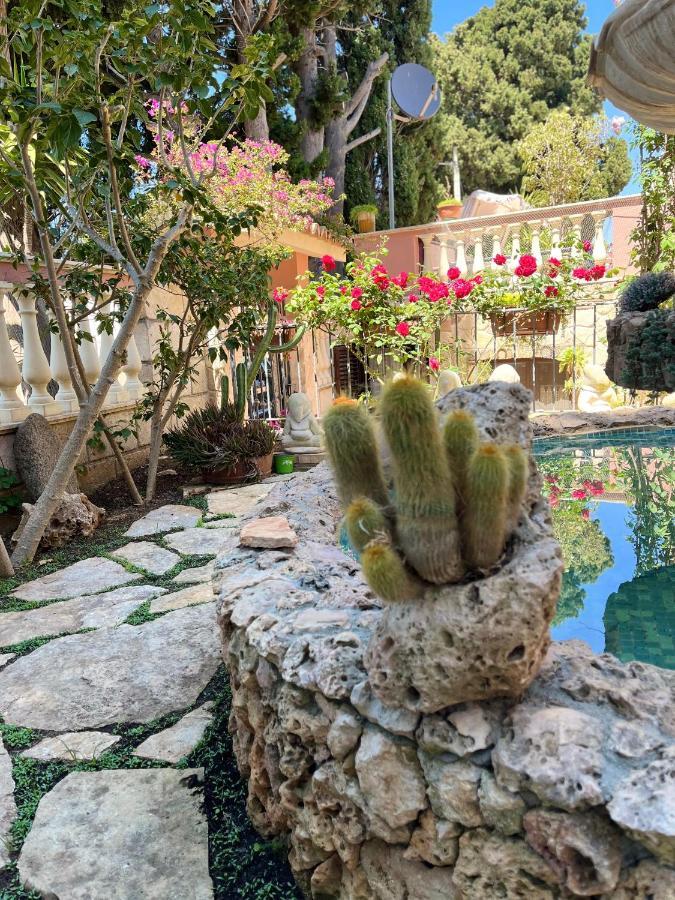 B&B Villa Regina Santa Domenica  Kültér fotó