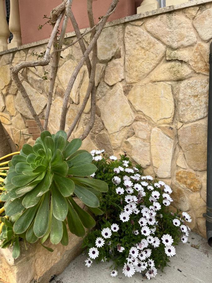 B&B Villa Regina Santa Domenica  Kültér fotó